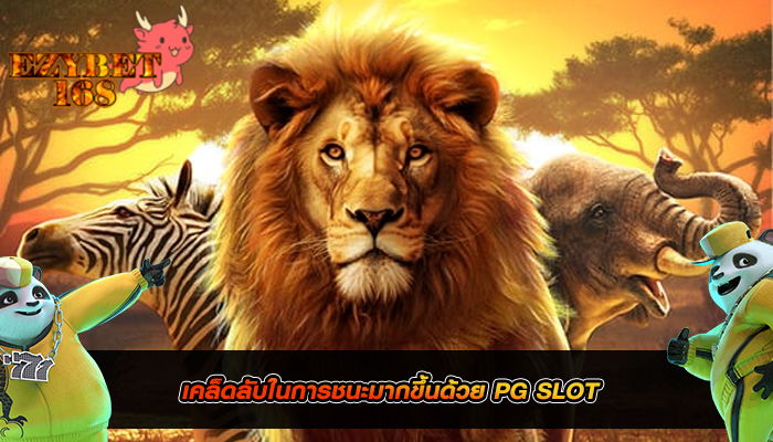 เคล็ดลับในการชนะมากขึ้นด้วย PG SLOT